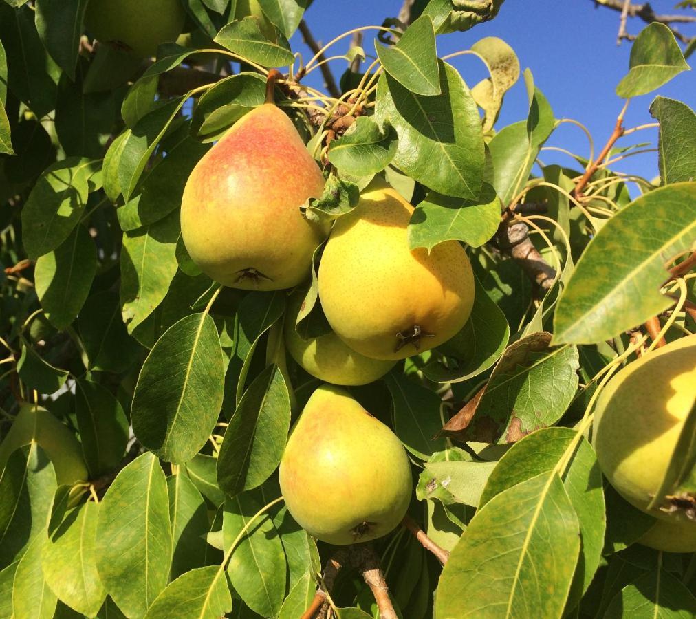 Agriturismo Turudhis Tortolì Dış mekan fotoğraf